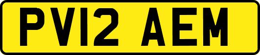 PV12AEM