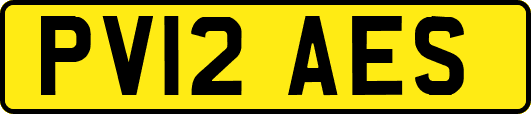 PV12AES