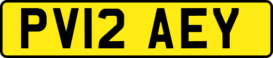PV12AEY