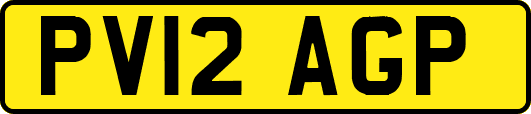 PV12AGP