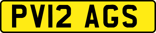 PV12AGS