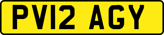 PV12AGY