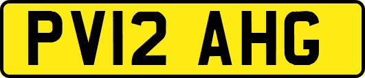 PV12AHG