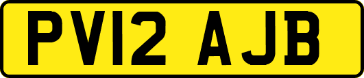 PV12AJB