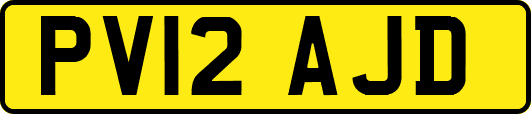 PV12AJD