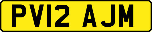 PV12AJM