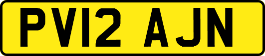 PV12AJN