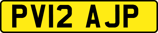 PV12AJP