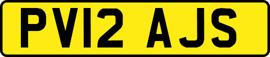 PV12AJS