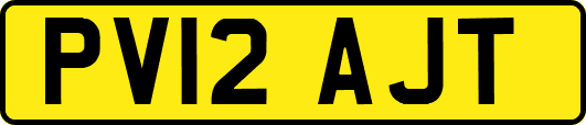PV12AJT