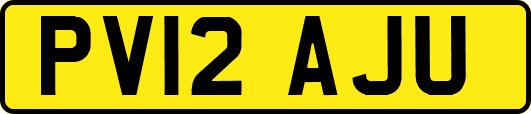 PV12AJU