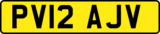 PV12AJV