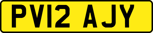 PV12AJY
