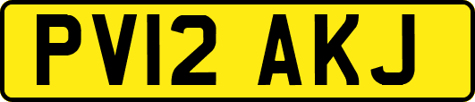 PV12AKJ