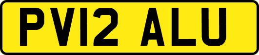 PV12ALU