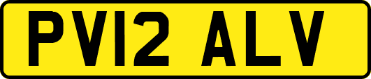 PV12ALV