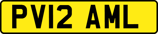 PV12AML