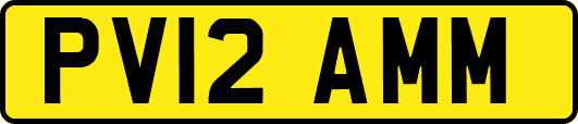 PV12AMM