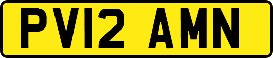 PV12AMN