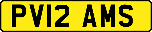 PV12AMS