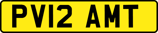 PV12AMT