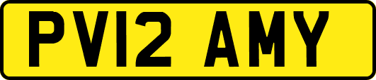PV12AMY