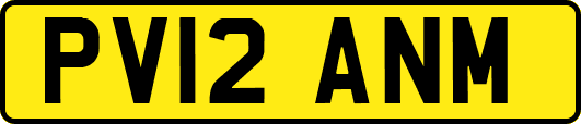 PV12ANM