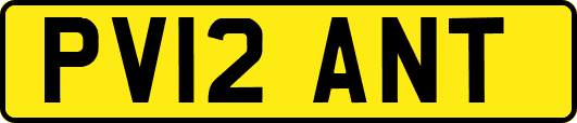 PV12ANT