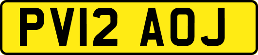 PV12AOJ