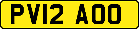 PV12AOO