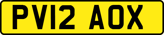 PV12AOX