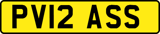 PV12ASS