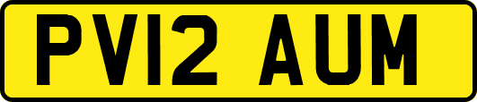 PV12AUM