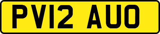 PV12AUO