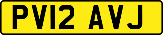 PV12AVJ