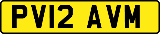PV12AVM