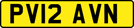 PV12AVN