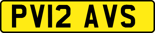 PV12AVS