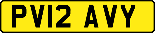 PV12AVY