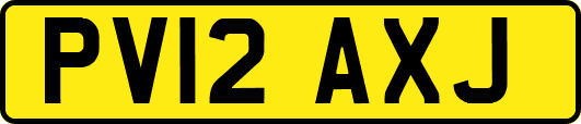 PV12AXJ