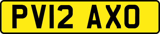 PV12AXO