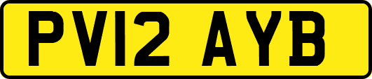 PV12AYB