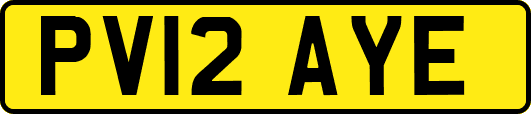 PV12AYE