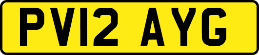 PV12AYG