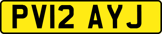 PV12AYJ