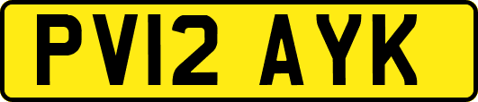 PV12AYK