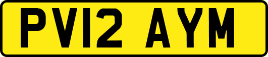 PV12AYM