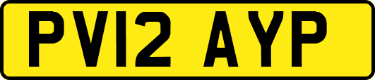 PV12AYP