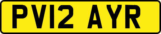 PV12AYR