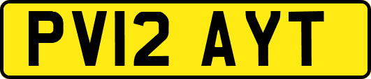 PV12AYT